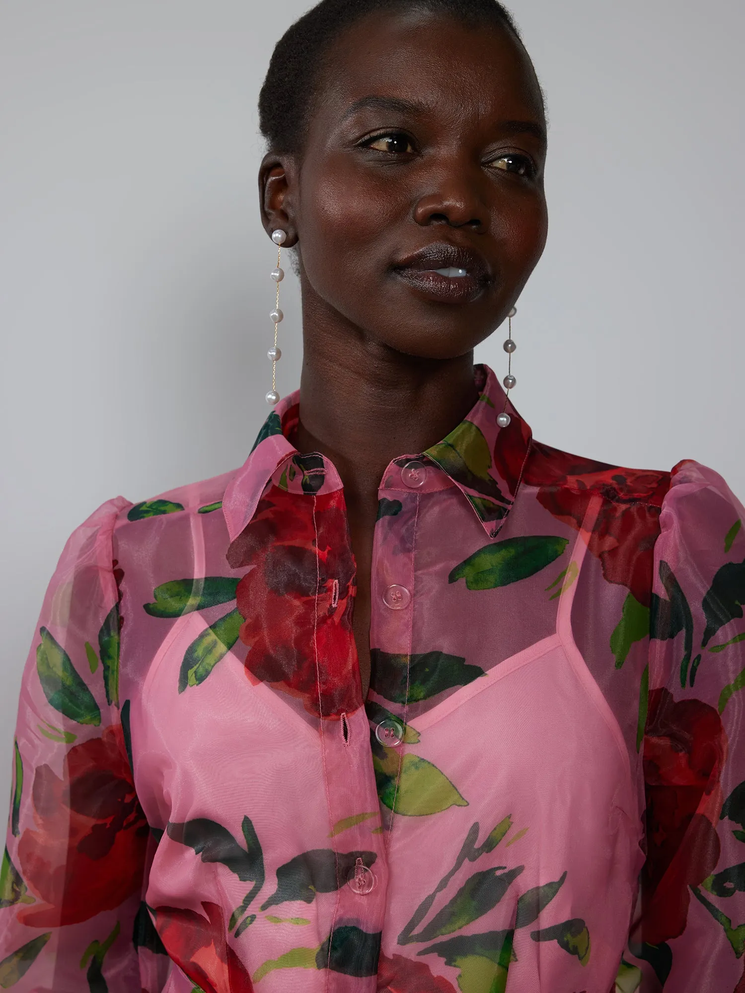 Printed Organza Shirt Dress
