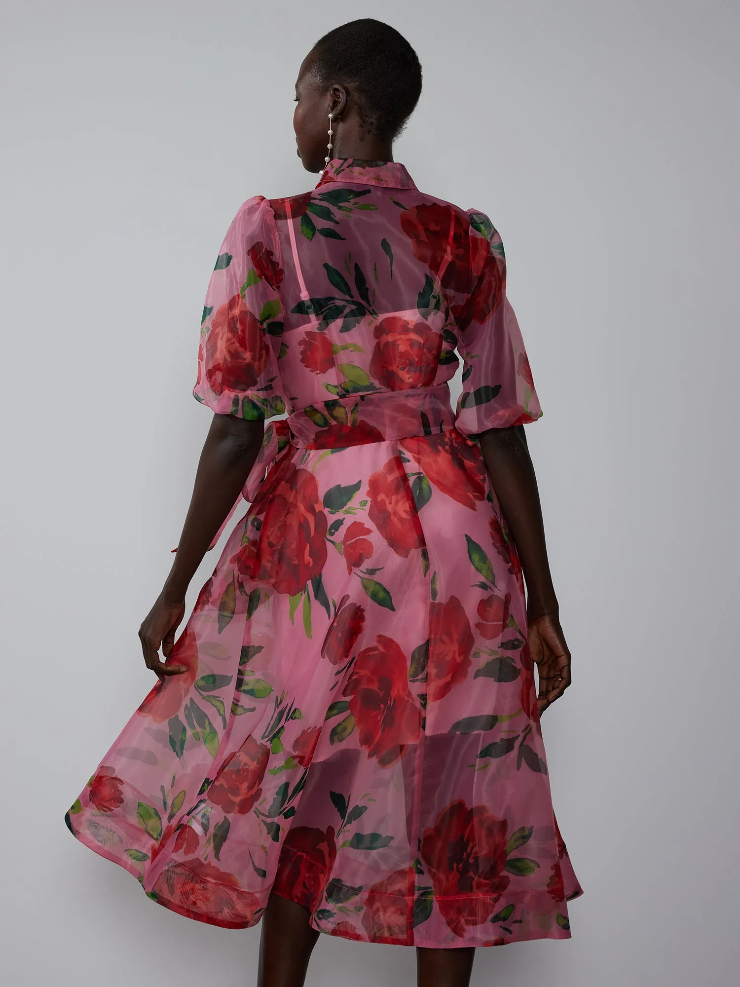 Printed Organza Shirt Dress
