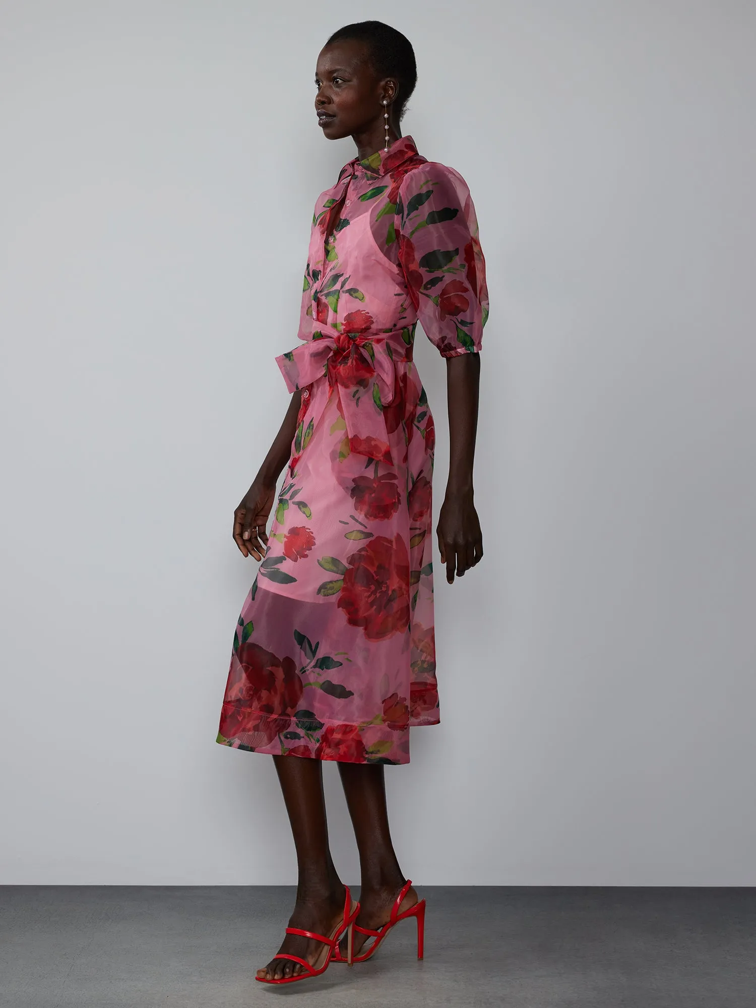 Printed Organza Shirt Dress