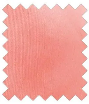 Salmon Peach Wedding Swatch